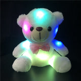 Colorful Lighted Plush Bear