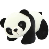 9-16cm 1Pc Plush Panda Toy