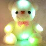 Colorful Lighted Plush Bear