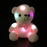 Colorful Lighted Plush Bear