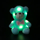 Colorful Lighted Plush Bear