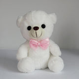 Colorful Lighted Plush Bear