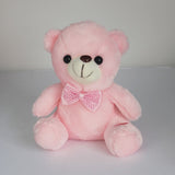 Colorful Lighted Plush Bear