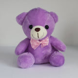 Colorful Lighted Plush Bear