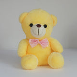 Colorful Lighted Plush Bear