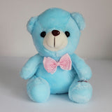 Colorful Lighted Plush Bear
